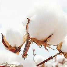 Mens T Shirts Printed Tee Plus Size 110-180kg 5XL 6XL 7XL Black T-shirt Round Neck Short Sleeve Oversized Tops Big Men Clothing